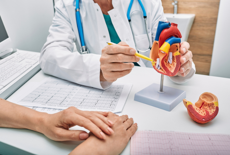 Cardiology